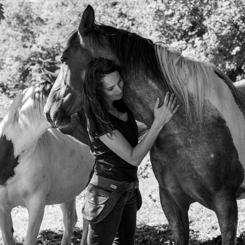 Pratique de l'acupression et les chevaux : une connexion emplie de sagesse et de bienveillance avec le cheval