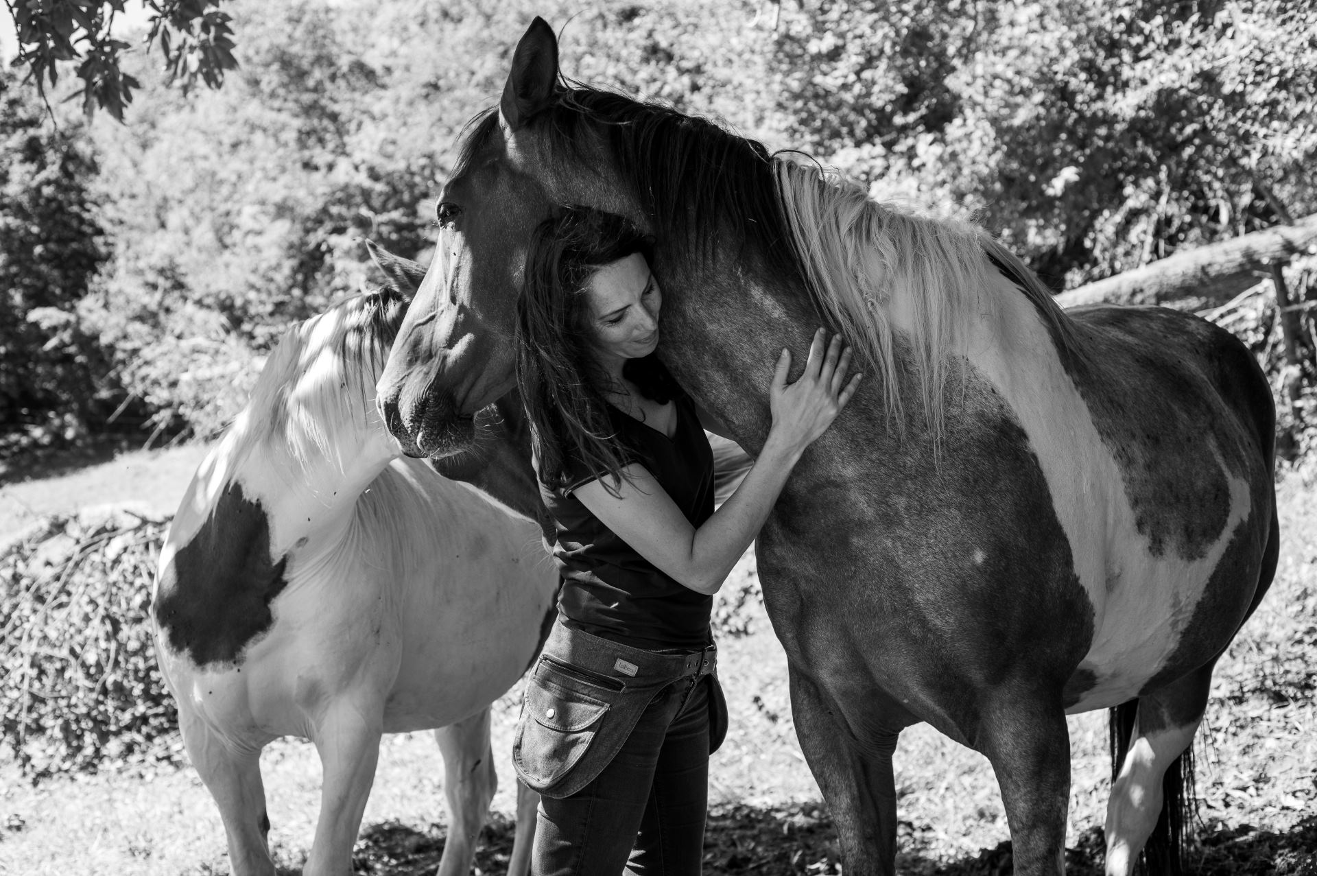 L’acupression et les chevaux